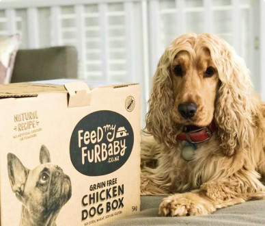 dog_1.png