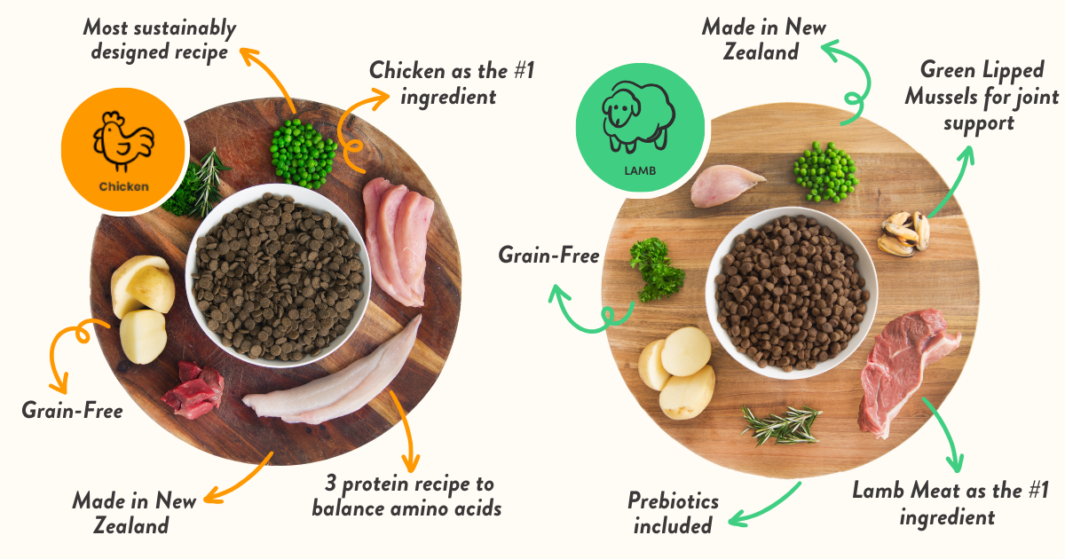 Chicken or Lamb Comparison
